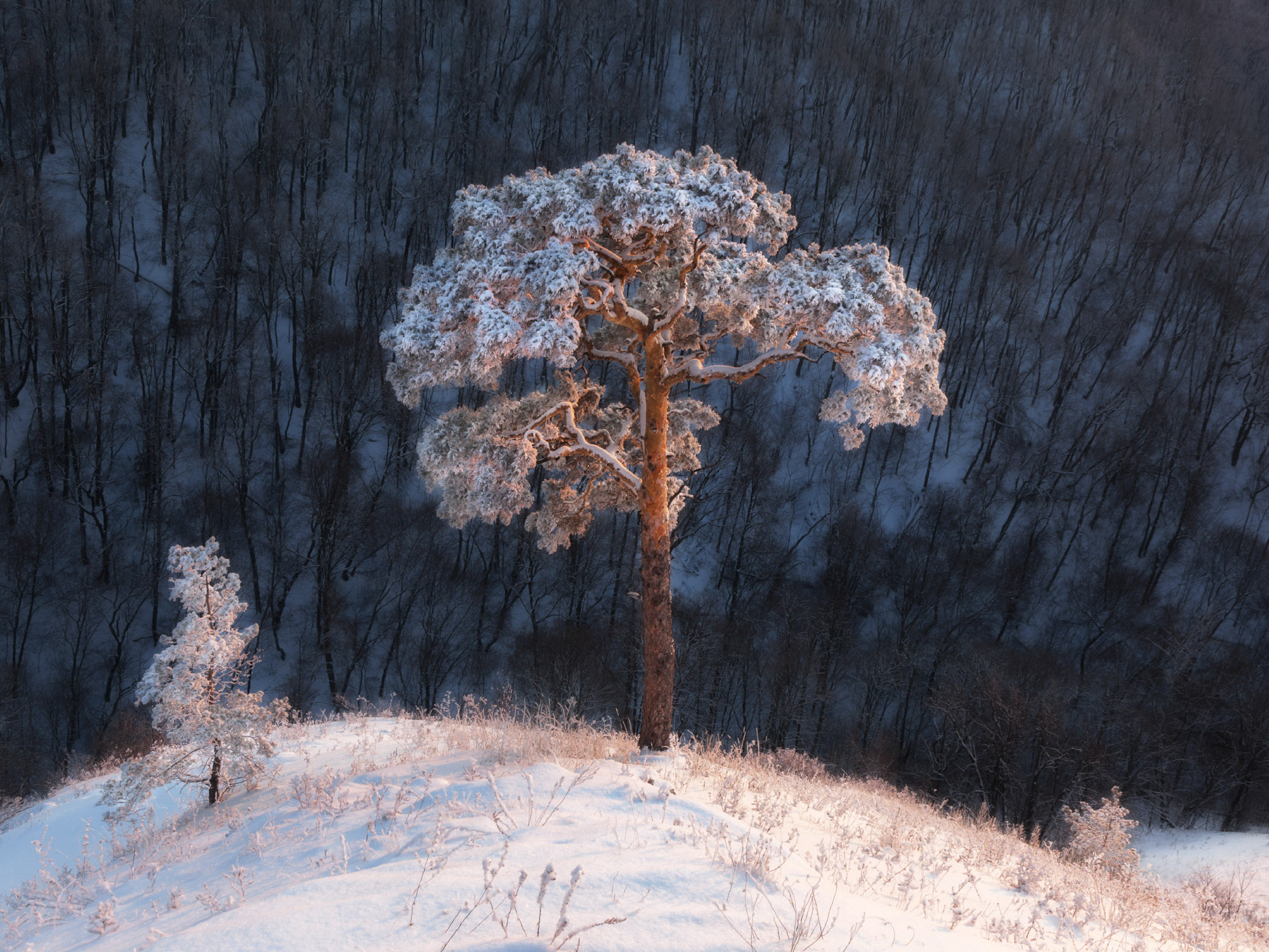 Фото пейзажа